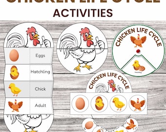 Chicken Life Cycle Activities | Homeschool Printable (Digital Download)