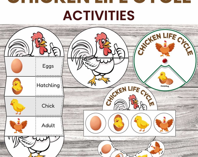 Foldable Chicken Life Cycle Learning Activity for Kids | A4 and 11x8.5 ...