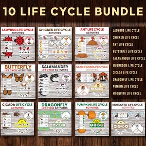 Life Cycle Bundle Printable | 10 Foldable Worksheets | Activity for Kids | 40% OFF | Discounts with Bundle
