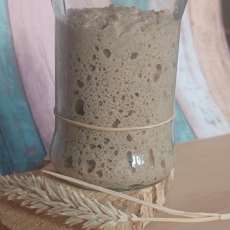 RyeGold Bio-Roggen-Sauerteig-Starter Perfekt für hausgemachtes Brot Nur ... RyeGold Bio-Roggen-Sauerteig-Starter Perfekt für hausgemachtes Brot Nur ...