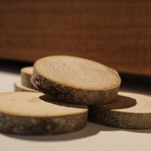 Pack of 5 Wooden Sycamore Rounds