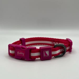 Halsband mit Rosa Design | 15mm Breites Hundehalsband | Dog Collar with Pink Design | Fluss/Habby™