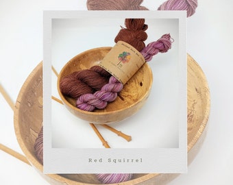 Red Squirrel Shetland Wool Sock Set Hand Dyed Mini Skein and 100g 470m Fingering Weight Yarn