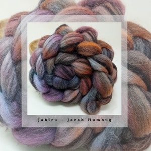 Hand Dyed Jacob Humbug Combed British Breed Wool Top 100g Braid for spinning yarn felting weaving