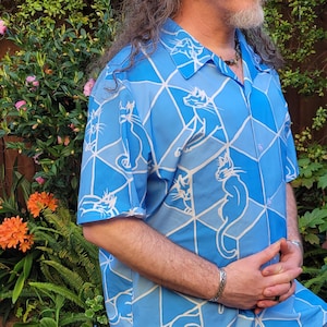 Gatos y cajas, camisa abotonada, ilusión óptica geométrica, plano imagen 1