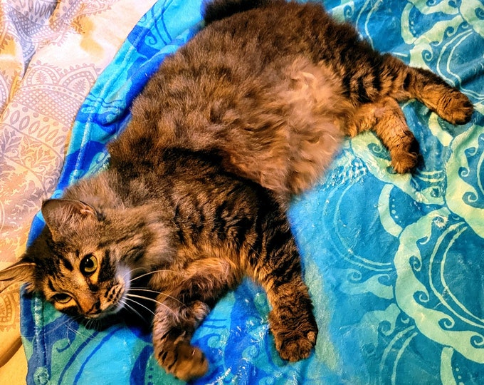 Blue Ombre Mermaid Scale Blanket, Round Beach Towel, or Festival Shawl