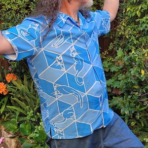 Gatos y cajas, camisa abotonada, ilusión óptica geométrica, plano imagen 4