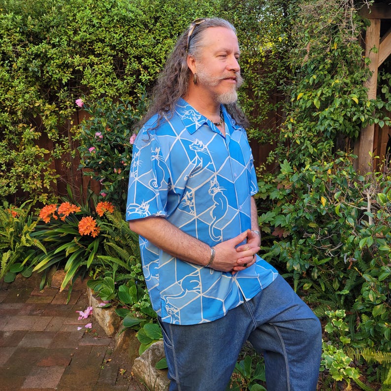 Gatos y cajas, camisa abotonada, ilusión óptica geométrica, plano imagen 1