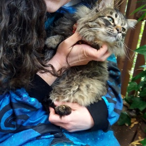 May include: A woman with long brown hair wearing a blue and black patterned hoodie holds a brown tabby cat in her arms. The cat is looking at the camera.