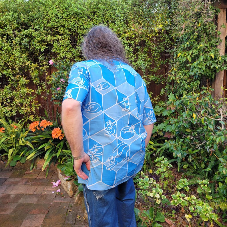 Gatos y cajas, camisa abotonada, ilusión óptica geométrica, plano imagen 2