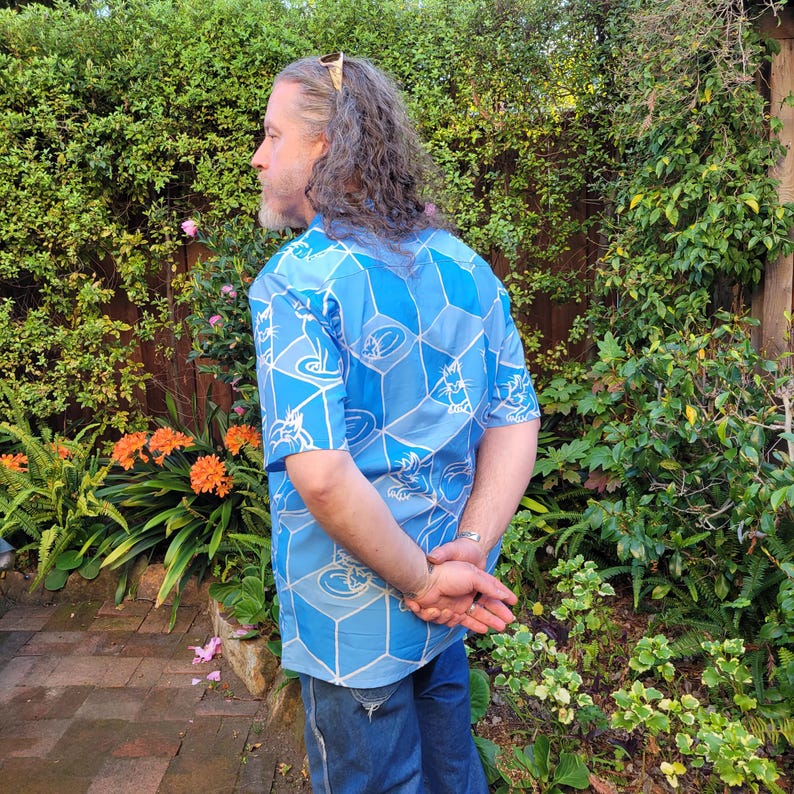 Gatos y cajas, camisa abotonada, ilusión óptica geométrica, plano imagen 3