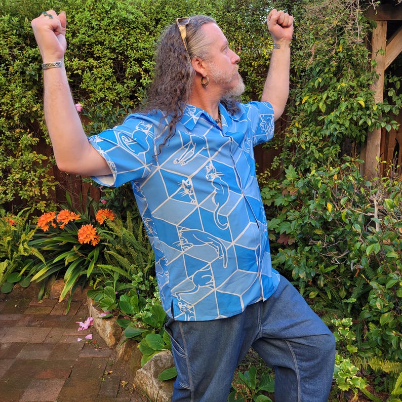 Gatos y cajas, camisa abotonada, ilusión óptica geométrica, plano imagen 4