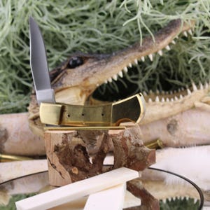 Könnte beinhalten: Ein Klappmesser aus Messing und Stahl mit teilweise geöffneter Klinge, das auf einem kleinen Holzständer ruht. Zwei rechteckige Knochenstücke liegen vor dem Ständer. Der Hintergrund zeigt einen Alligatorkopf und grünes Laub.