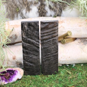 Puede incluir: Dos piezas rectangulares de madera oscura y texturizada con un patrón de vetas arremolinadas. La madera se coloca sobre un fondo de troncos de abedul, musgo verde y ramitas de vegetación. Se ven dos casquillos de bala de latón.