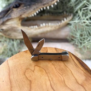 May include: A small, open pocket knife with a silver blade and a brown handle. The knife is resting on a light brown wooden surface. The background features an alligator head and green foliage.