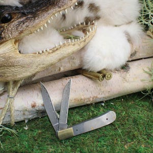May include: A partially open pocket knife with a silver blade and brass accents rests on a bed of green moss. The knife is next to a decorative alligator head and a small purple geode. Two bullets are also visible.