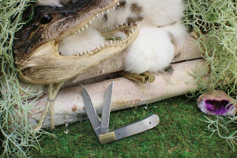 May include: A partially open pocket knife with a silver blade and brass accents rests on a bed of green moss. The knife is next to a decorative alligator head and a small purple geode. Two bullets are also visible.
