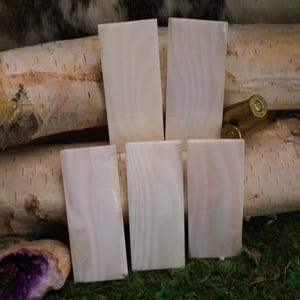 May include: Five rectangular, light-colored wood pieces with a subtle grain pattern are arranged on a bed of green moss. The background features birch logs and a touch of greenery, with two brass bullet casings.