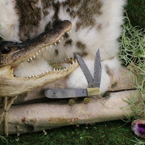 May include: A pocket knife with a patterned blade and brass accents rests on a birch log. The knife is displayed with an alligator head and decorative greenery, creating a rustic, outdoorsy theme.