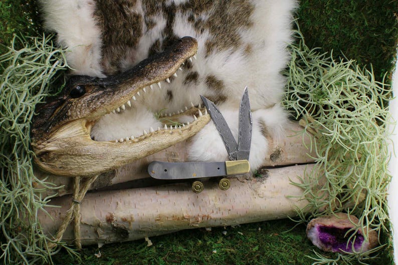 May include: A pocket knife with a patterned blade and brass accents rests on a birch log. The knife is displayed with an alligator head and decorative greenery, creating a rustic, outdoorsy theme.