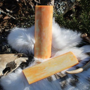 May include: Two pieces of orange and white dyed bone, one is a long cylinder and the other is a flat rectangle. The bone is sitting on a white fluffy surface.