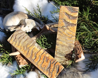 Écailles de couteaux en corne de bélier naturelle - Matériau du manche en grain ambré (5 x 1,5 x 1/4 po.)