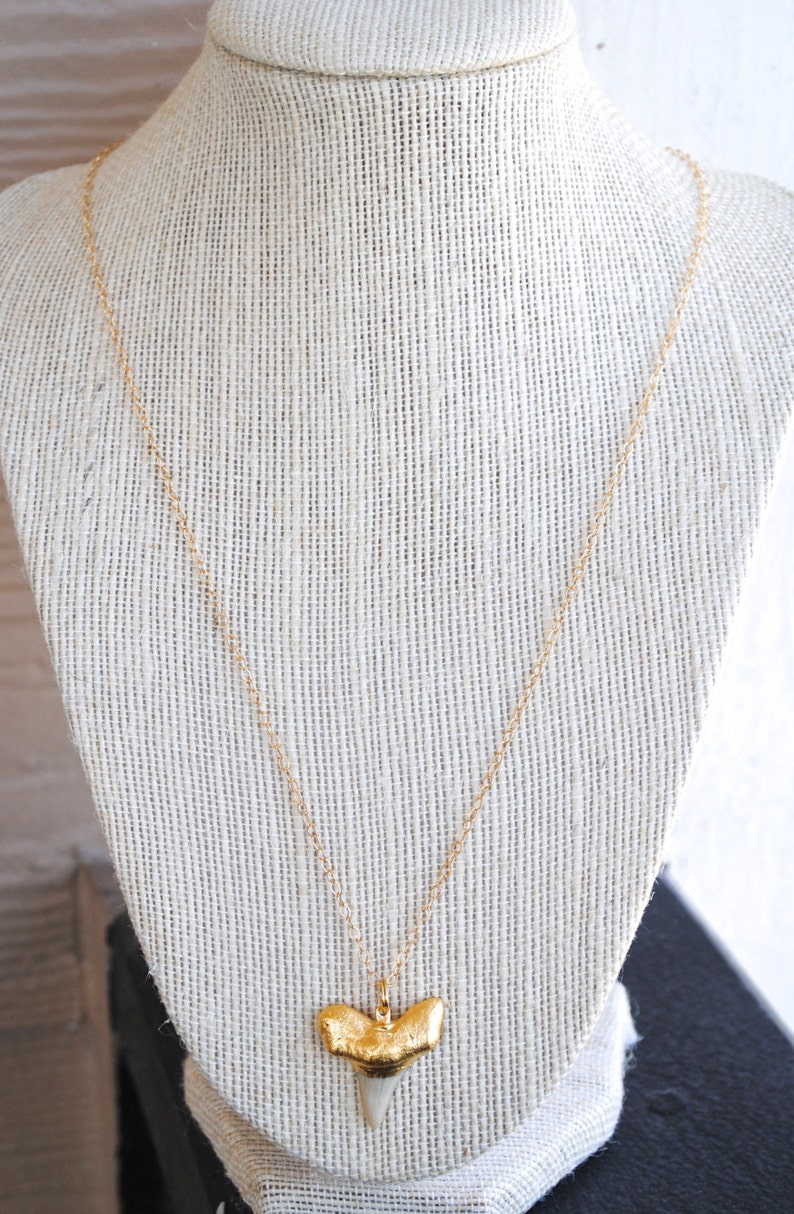 Small Gold Dipped Shark Tooth Necklace. Edisto Collection. Etsy