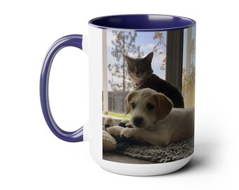 Two-Tone Coffee Mugs, 15oz