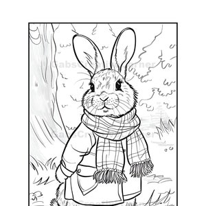Süße Kaninchen Malseite, PNG Bild, Beatrix Potter Malvorlage, Sofort Download, Drucke zu Hause