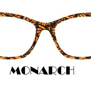 Copriocchiali magnetici in metallo Monarch