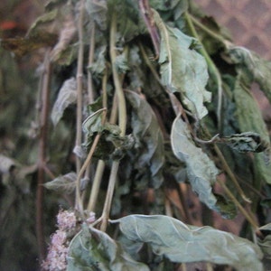 MINTS naturally DRiED Flower Bunches