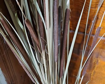 Skinny smaller CATTAILS naturally DRiED FLOWER Bunches