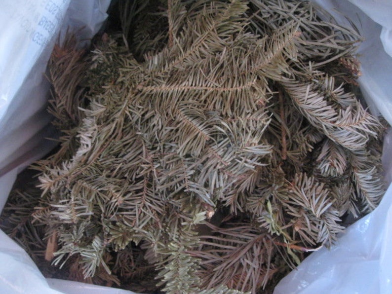 EVERGREEN naturally DRiED aromatic pine and balsam BAGS image 7