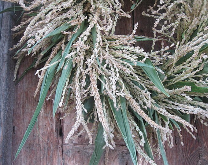CORN TASSEL WREATH All Natural Decoration for Door or Wall Etsy