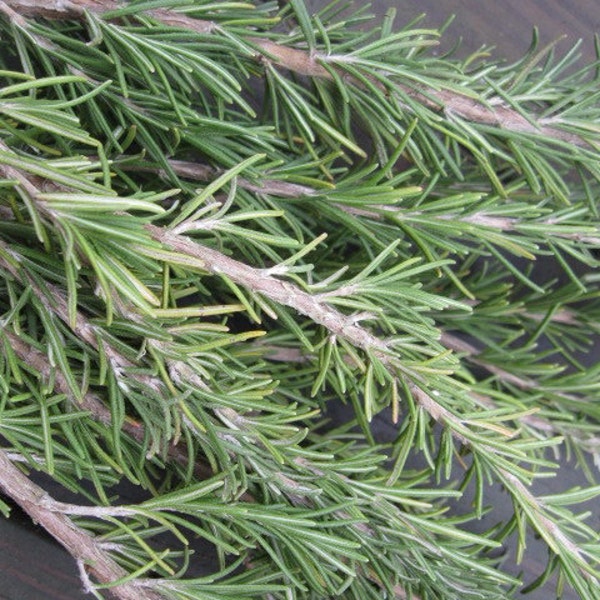 ROSEMARY naturally DRiED FLOWER herb Bunches
