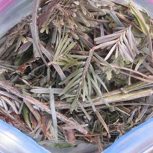 EVERGREEN naturally DRiED aromatic pine and balsam BAGS image 1