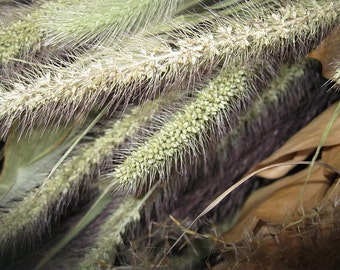 MIXED GRASSES naturally DRiED FLOWER Bunches