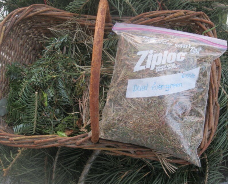 EVERGREEN naturally DRiED aromatic pine and balsam BAGS image 4