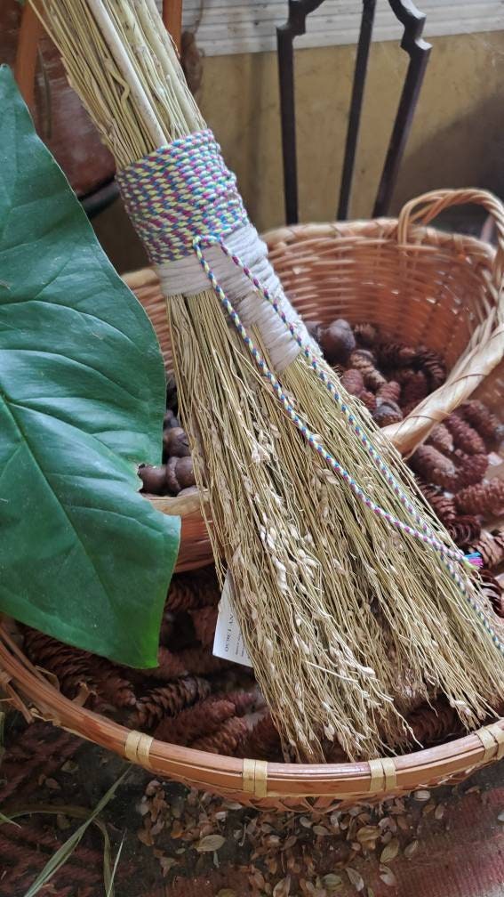 Image of Horsetail plant being used as whisk broom