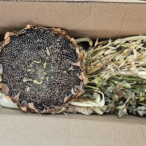 HAMSTER TREAT Mixed GRAINs and Seeds naturally DRiED FLOWER Bunches