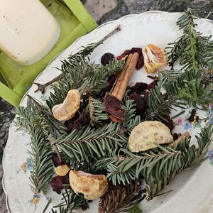 May include: A white, floral-patterned plate holds a festive arrangement of evergreen sprigs, dried berries, and orange slices. A cinnamon stick adds a warm, aromatic touch to the seasonal display.