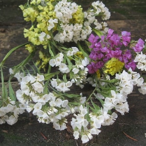 May include: A bouquet of white, yellow, and purple flowers. The flowers are arranged in a loose, natural style. The bouquet is sitting on a wooden surface.