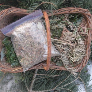 EVERGREEN naturally DRiED aromatic pine and balsam BAGS image 3