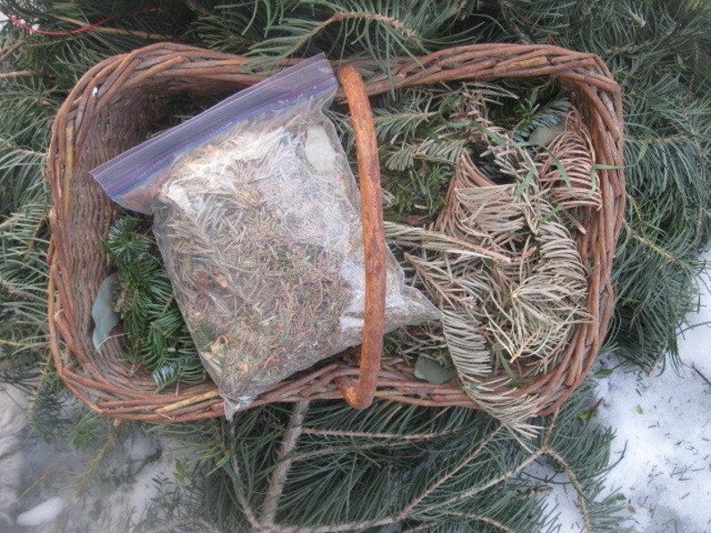 EVERGREEN naturally DRiED aromatic pine and balsam BAGS image 3