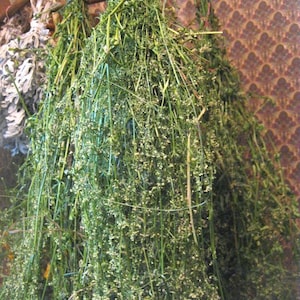 May include: Bundles of dried green herbs hanging from a wooden rod. The herbs have long, thin stems and small white flowers. The background features a patterned wallpaper in shades of brown and beige, creating a rustic aesthetic.