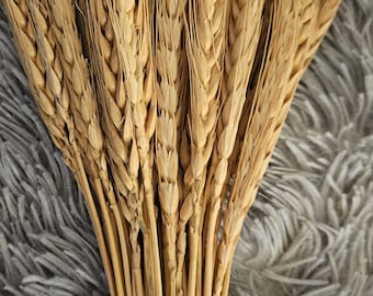 BLONDE WHEAT naturally DRiED FLOWER Bunches