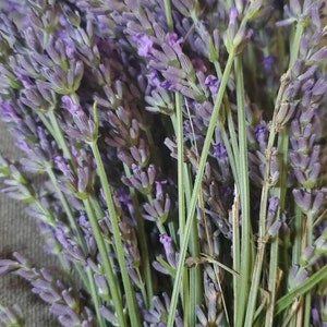 230+ Stems Dried Lavender Flowers Bundles, 3 Bunches Stems Natural Dry Lavender Flowers Sprigs Stems 17 Dried Flowers for DIY Home Fragrance