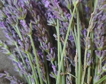 LAVENDER naturally DRiED FLOWER Bunches