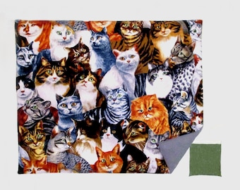 Catnip Mat plus Catnip 13.5 X 16 Inches Cats  MULTICOLORED CAT Print  REFILLABLE Reversible