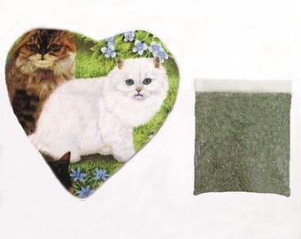 Refillable Catnip Heart Toy: Organic Catnip, Cats in Blue Flowers
